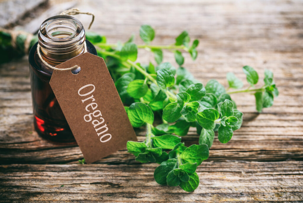 many benefits of oregano